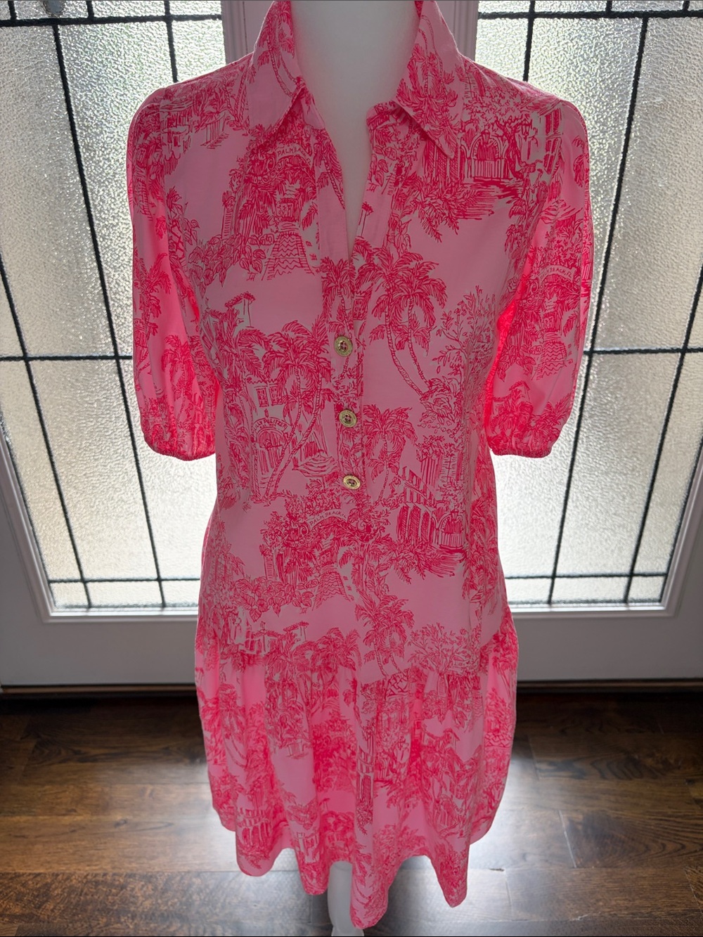 Lilly Pulitzer Bingley Dress - Palm Beach